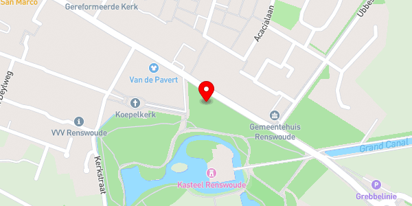 Kaartweergave met markering van de plaats van het incident.
