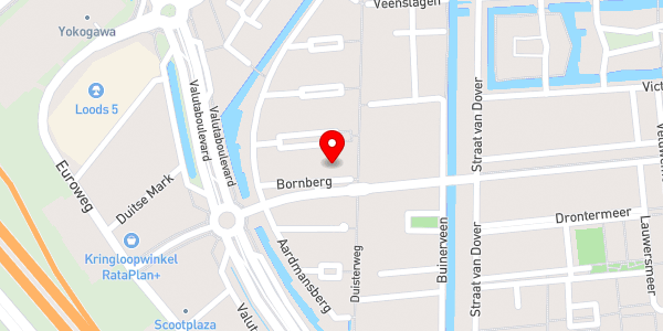 Kaartweergave met markering van de plaats van het incident.