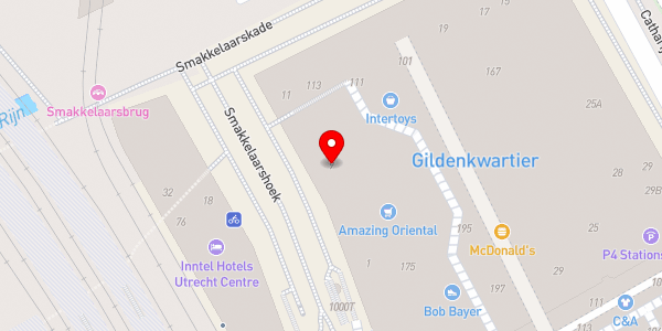 Kaartweergave met markering van de plaats van het incident.