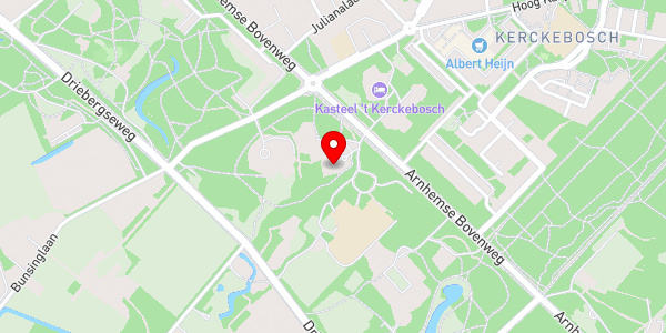 Kaartweergave met markering van de plaats van het incident.