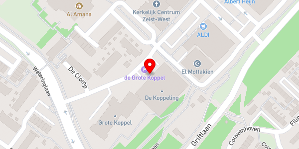 Kaartweergave met markering van de plaats van het incident.