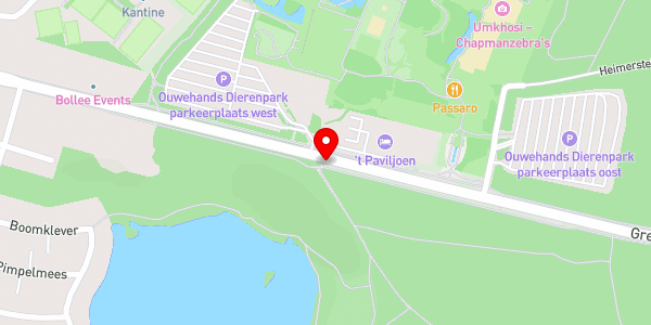 Kaartweergave met markering van de plaats van het incident.