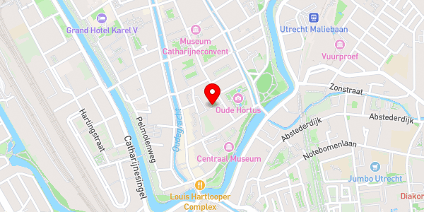 Kaartweergave met markering van de plaats van het incident.