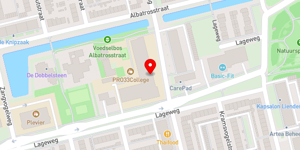 Kaartweergave met markering van de plaats van het incident.