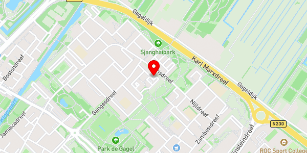 Kaartweergave met markering van de plaats van het incident.