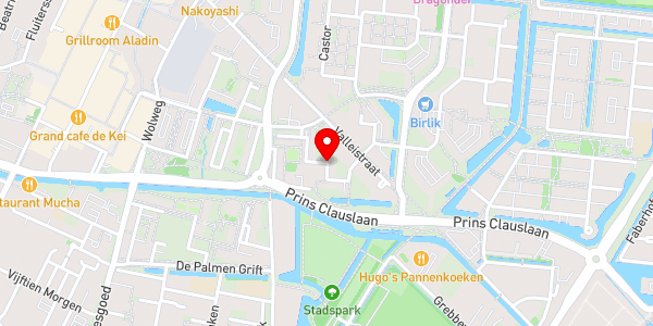 Kaartweergave met markering van de plaats van het incident.