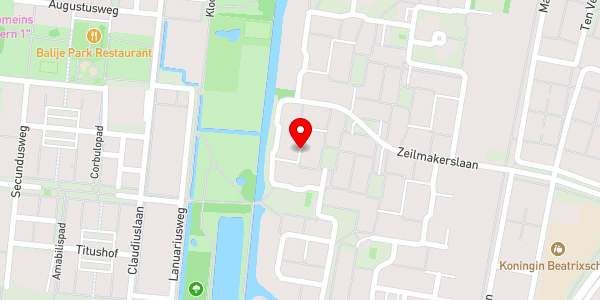 Kaartweergave met markering van de plaats van het incident.