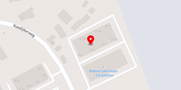 Kaartweergave met markering van de plaats van het incident.