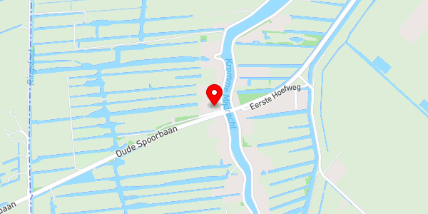 Kaartweergave met markering van de plaats van het incident.