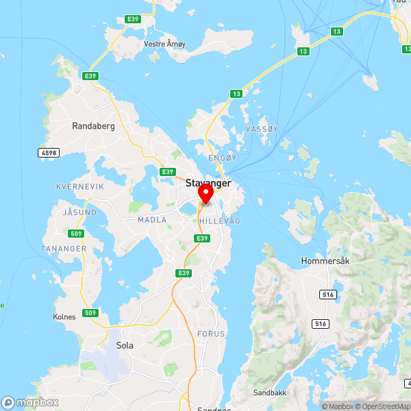 Kaartweergave met markering van de plaats van het incident.
