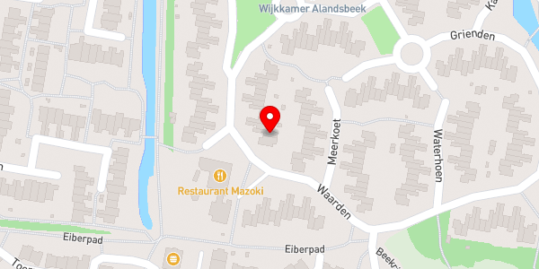 Kaartweergave met markering van de plaats van het incident.