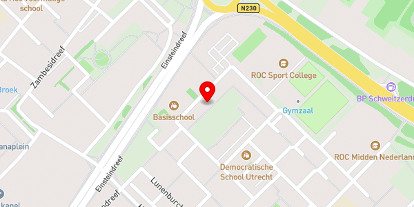 Kaartweergave met markering van de plaats van het incident.