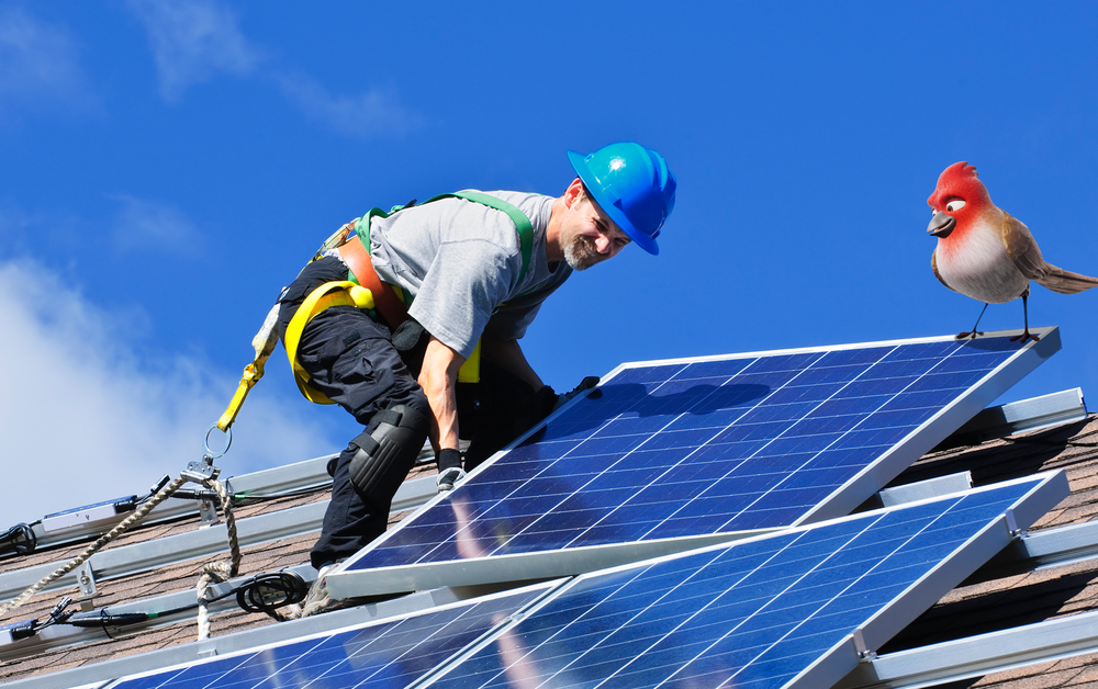 Veilige zonnepanelen