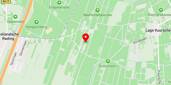 Kaartweergave met markering van de plaats van het incident.