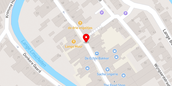 Kaartweergave met markering van de plaats van het incident.