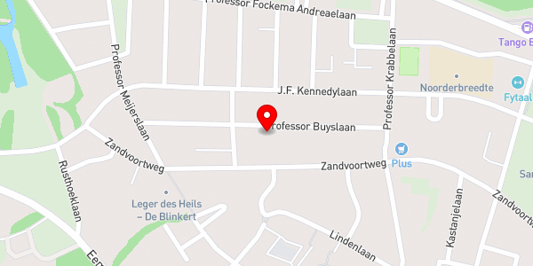 Kaartweergave met markering van de plaats van het incident.