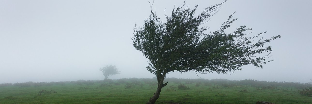 foto van storm