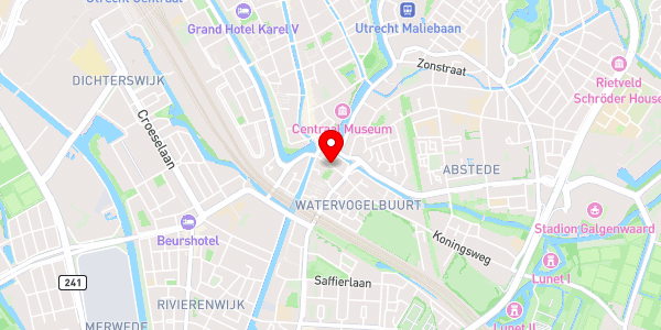 Kaartweergave met markering van de plaats van het incident.